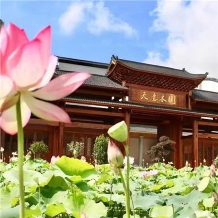益陽(yáng)天意木國(guó)木文化博物館、金家堤、一碑五館一日游