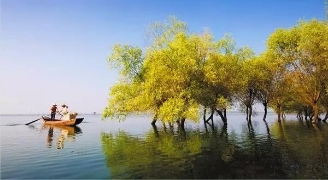 春暖花開南洞庭踏青、云夢(mèng)七色花洲一日游  