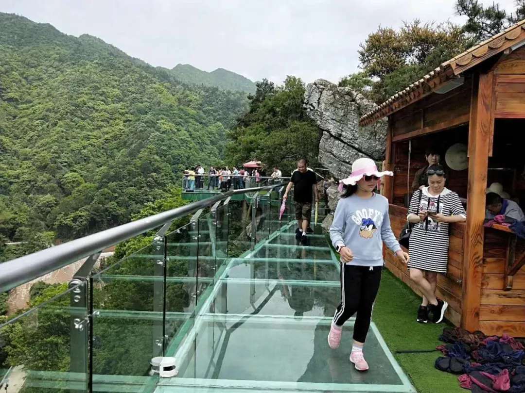 益陽安化?天下茶道、云臺山、茶香花海2日游