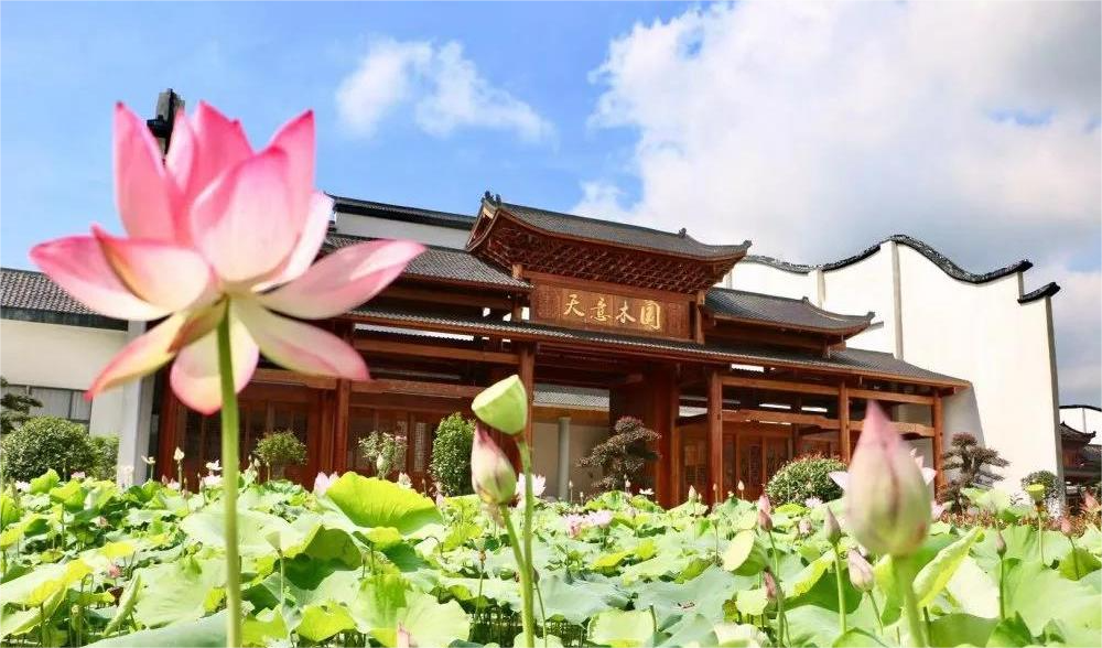清溪村、天意木國景區(qū)、明清古巷、市博物館、胡林翼故居二日游